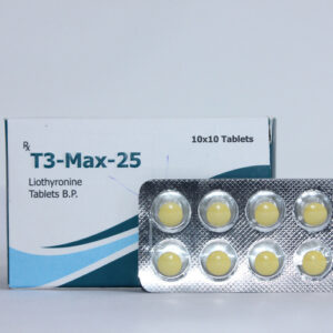 T3-Max-100